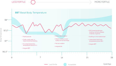 Building a Fertile Cycle, Month by Month