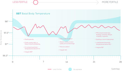 BBT Patterns That Indicate Fertility Issues
