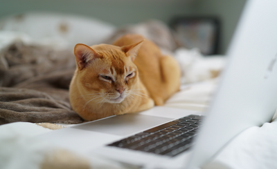 If You're On Your Period, You Need These 7 GIFs In Your Life RIGHT NOW